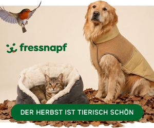 Herbst-Artikel entdecken!